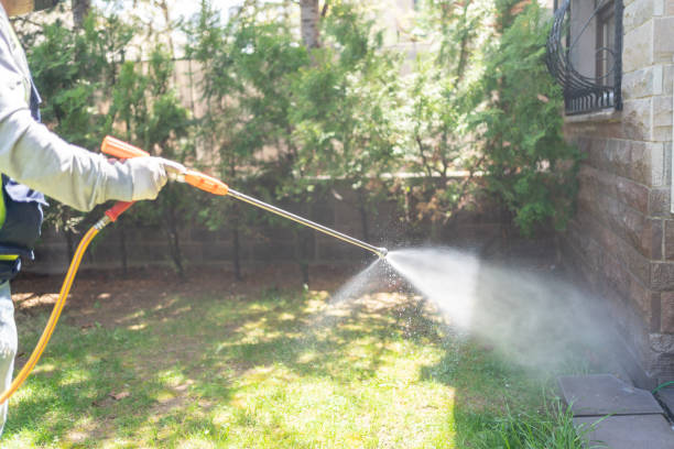 Wildlife Control Services in New Stanton, PA